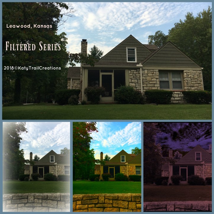 LeawoodKansas Collage