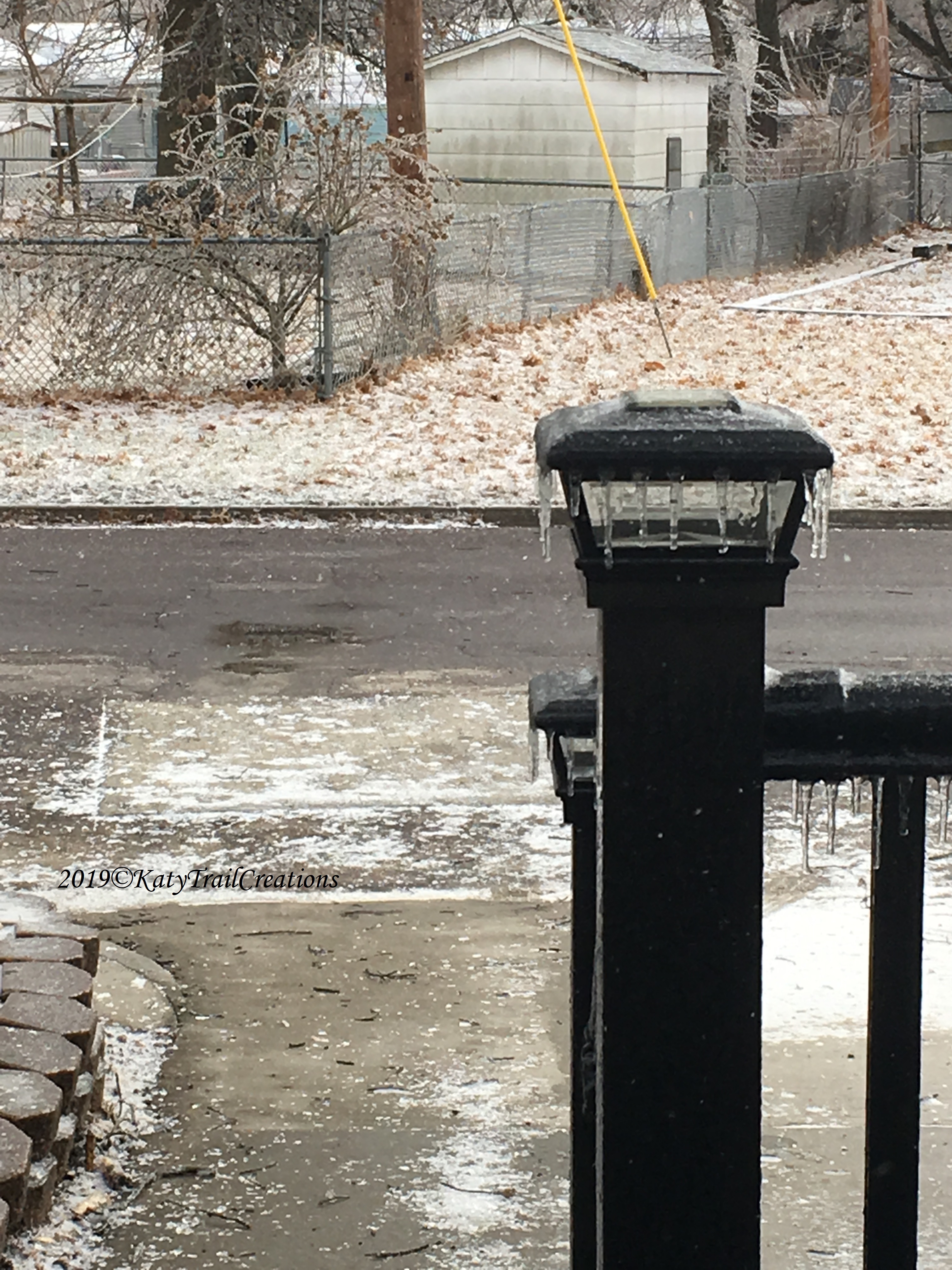 Twigs beaten down from wind and freezing rain