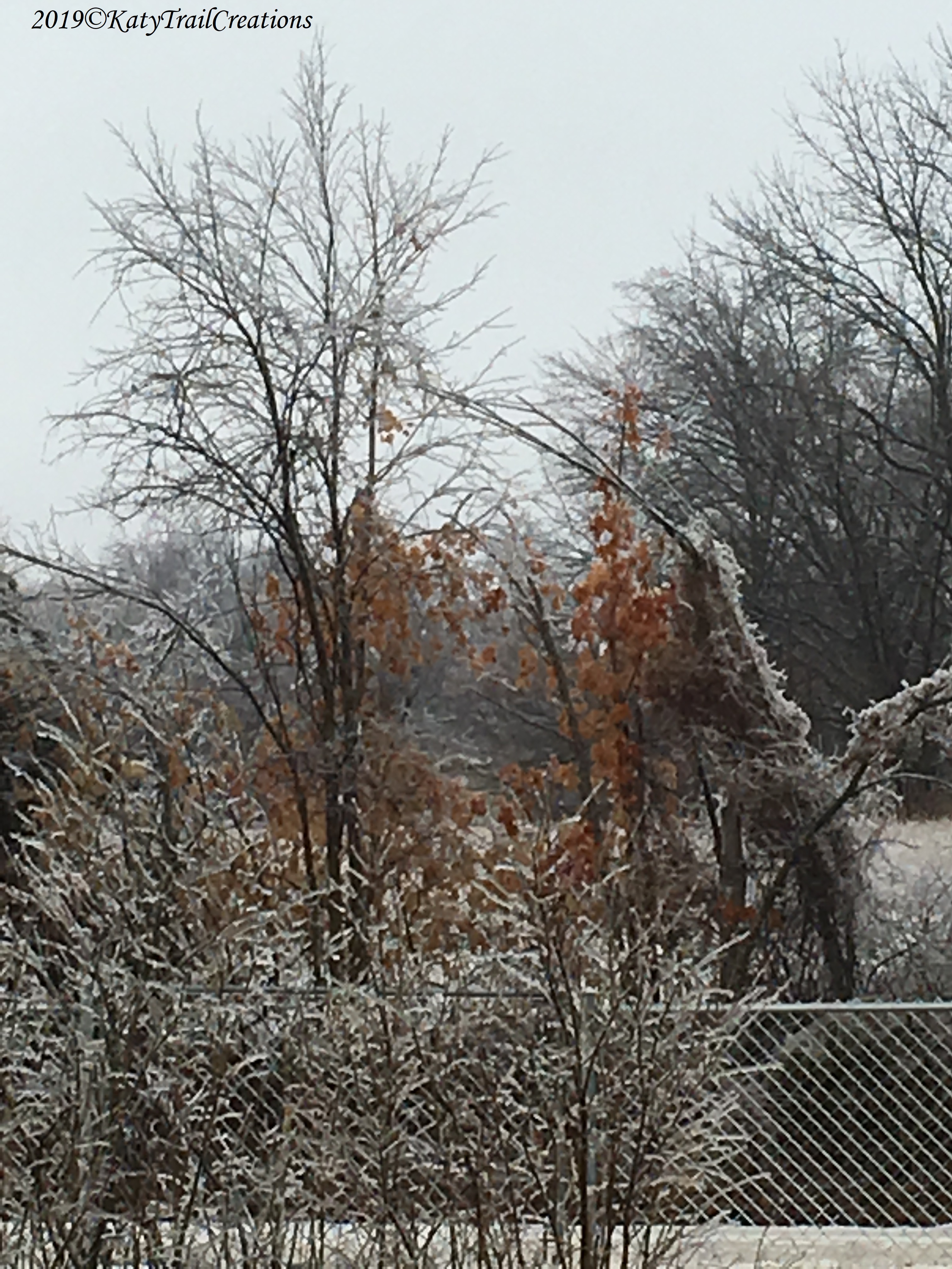 Icy View from the back porch