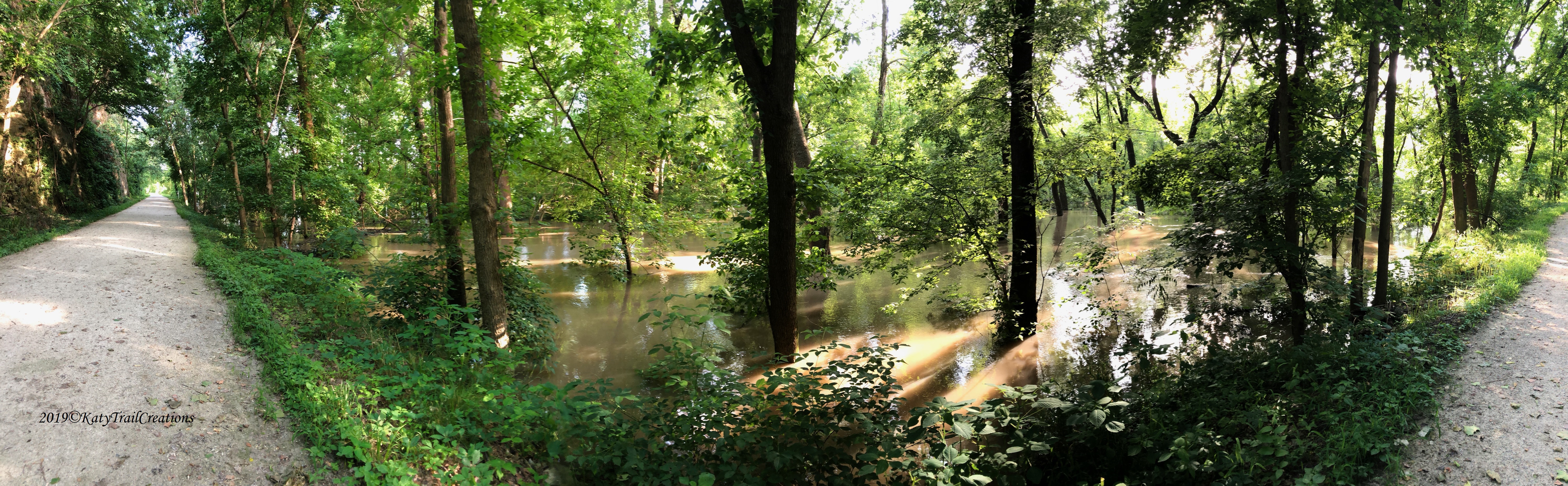 Panoramic Perspective