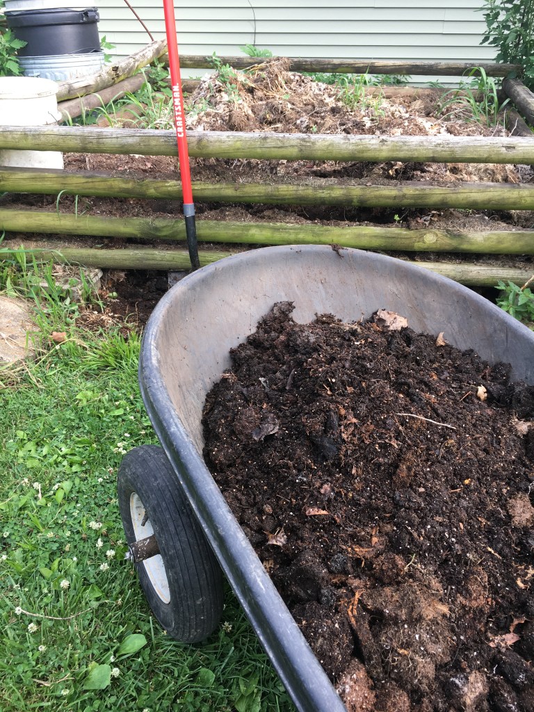 Black Gold (compost)