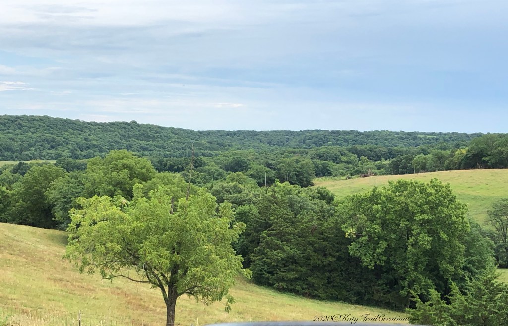 I love the view here