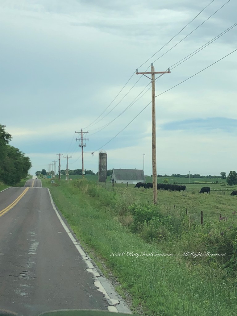 Spotted on the way home from a VA appointment with the hubster