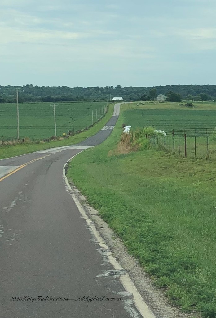 Beware of seemingly peaceful spans of road where wildlife may dart out unexpectedly