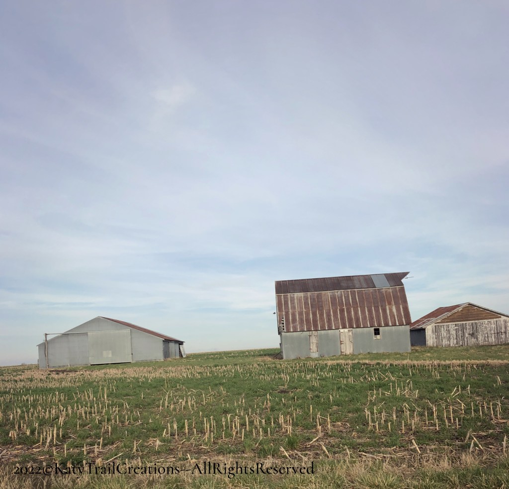Front View of 3 barns from different decades