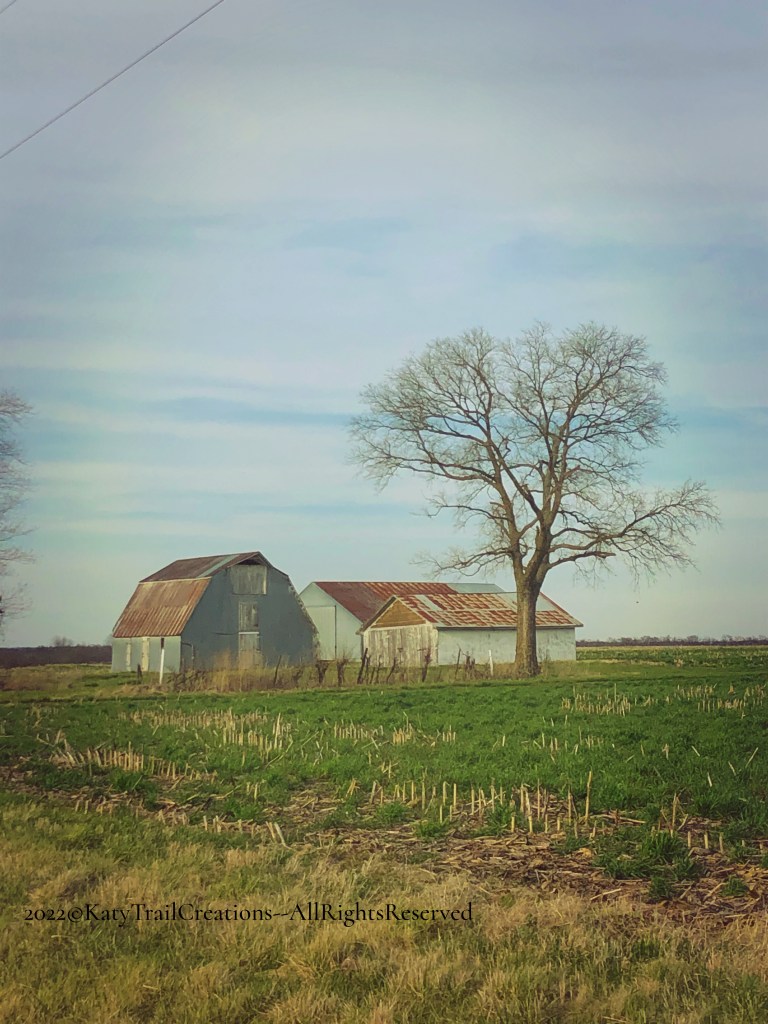 I liked the approach with nothing between the barns and my camera