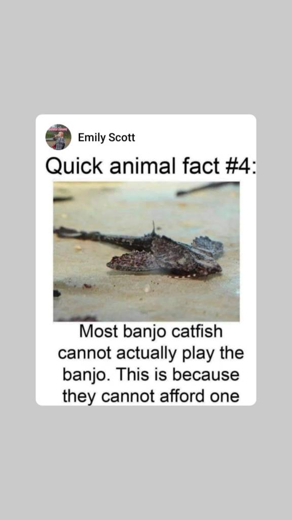 Yep, My dream banjo is 5 figures