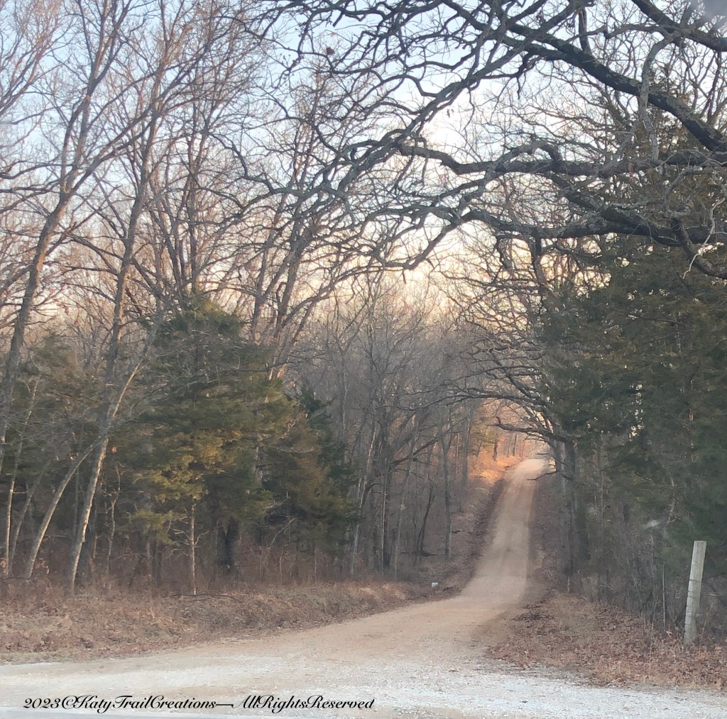 Across the road, lots of timber